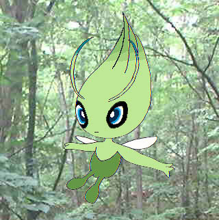 �X�̃Z���r�B�i�ʐ^�g�p�j