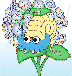 �g�b�v 2001�N�@6���@�I���i�C�g