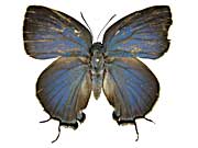 �|�e�C�m�X�N�W���N�V�W�~���\