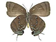 �|�e�C�m�X�N�W���N�V�W�~����