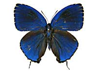 �w�����N�W���N�V�W�~���\