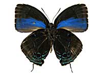 �w�����N�W���N�V�W�~����