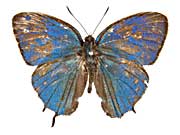 �|���E�X�~�X�W�N�W���N�V�W�~���\