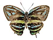 �|���E�X�~�X�W�N�W���N�V�W�~����