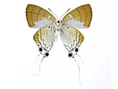 �A�}�T�c���A�V�t�T�I�V�W�~����