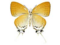 �A�N�e���}�m�I�i�K�V�W�~����