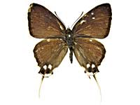 �A�N�e���}�m�I�i�K�V�W�~���\