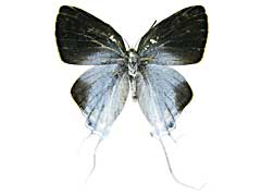 �A�}�T�c���A�V�t�T�I�V�W�~���\