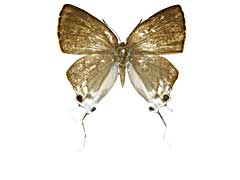 �A�}�T�c���A�V�t�T�I�V�W�~���\