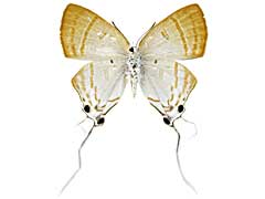 �A�}�T�c���A�V�t�T�I�V�W�~����