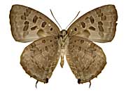 �G�E�����v�X�����T�L�V�W�~����