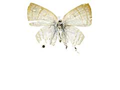 �A�}�T�c���A�V�t�T�I�V�W�~����