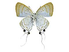 �A�}�T�c���A�V�t�T�I�V�W�~����