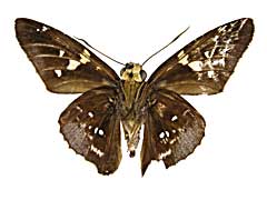 sp2�M�������Z�Z������