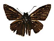 sp7�}�_���`���o�l�Z�Z�����\