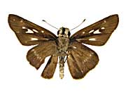 ���J�X�z�\�`���o�l�Z�Z������