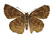 �S�h�}�T�U�i�~�E�������Z�Z������