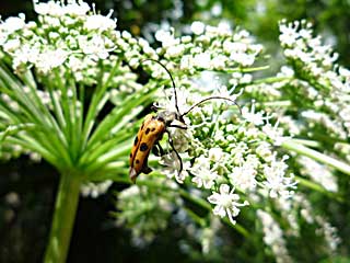 �h�D�r�A�����u�g�n�i�J�~�L��