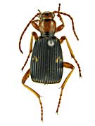 ge1�N�r�{�\�S�~���V