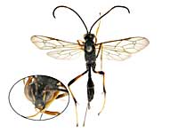 ge98�q���o�`��