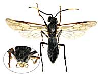 �t�@�M�R�V�z�\�n�o�`��