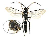 ge90�q���o�`��