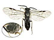 ge43�n�o�`��