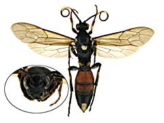 ge93�q���o�`��