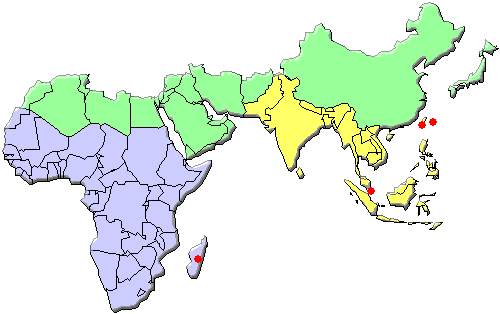 �p�m���|�C�f�X�R�V�u�g�g���{�̍̏W�n