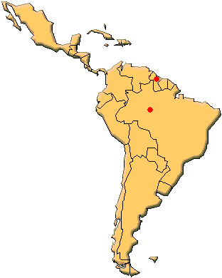 �A�X�e�B�I�P�n�J�}�W���m���̍̏W�n