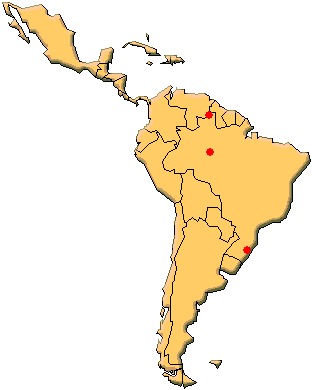 �w�����N�W���N�V�W�~�̍̏W�n