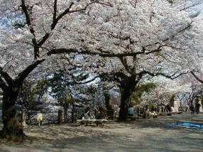 ����R����