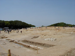 �v���{��ՑS�i