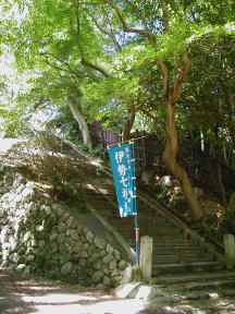 �y���R�K�i