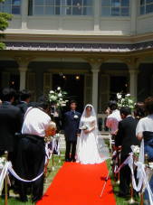 �l�O������