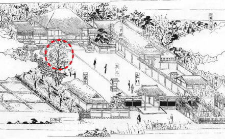 �v�g�ޖ����}�G�啟�c��