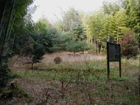 �ꐶ�p����