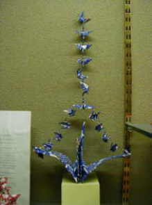 �K���̐�H��