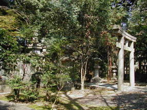 �����ꓝ�̕揊