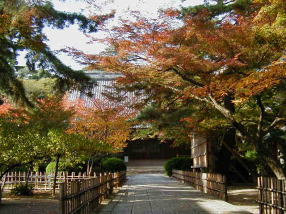 �ƌ�������