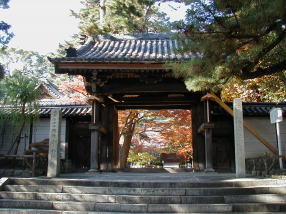 �ƌ����R��