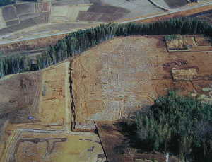 ����Սq��ʐ^