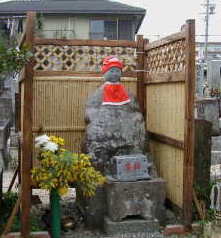 �������n����