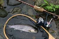 バックナンバー51