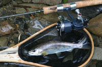 バックナンバー51