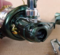 どうしたカーディナル