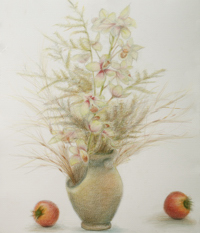 �Q�O�O�V�N�P�P����