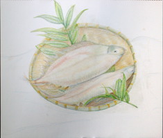 �Q�O�O�V�N��A�����̃J���C