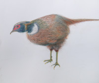 �Q�O�O�V�N��A賂̔���