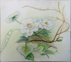 �Q�O�O�V�N�V����A���o������